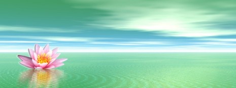 Фотообои кувшинка в море