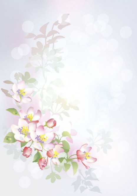 Фотообои цветущая ветвь