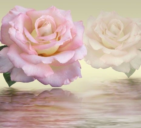 Фотообои 3d цветы