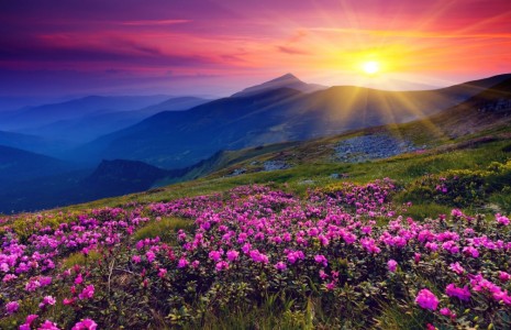 Фотообои закат в горах