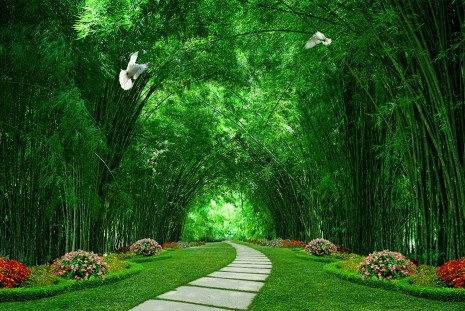 Фотообои 3d зеленый лес